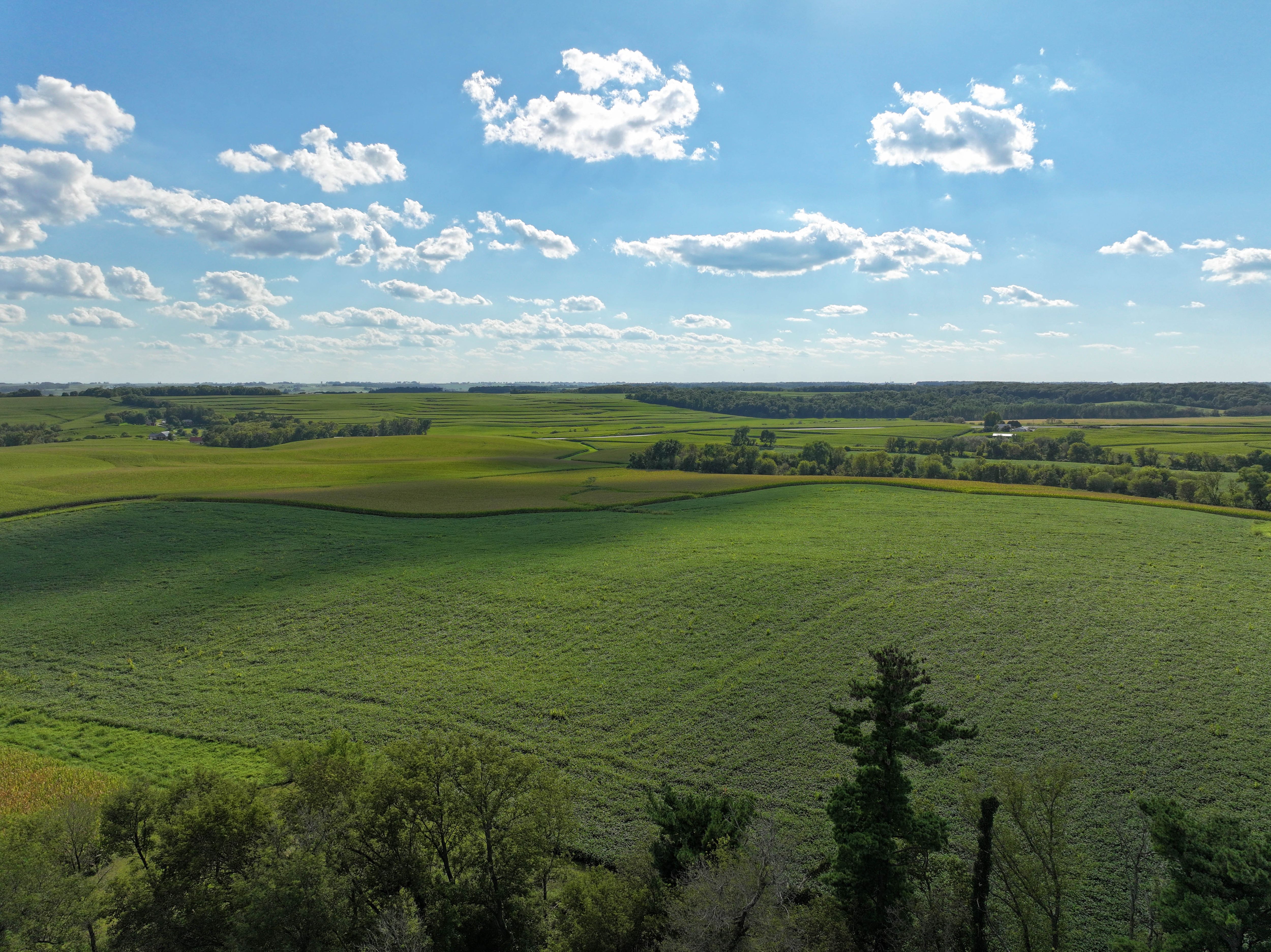 Listing Photo: 1-Allamakee County Farmland Auction